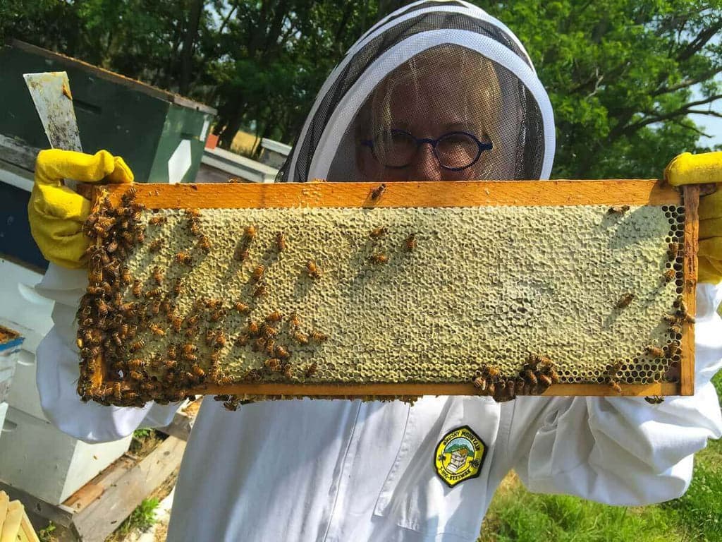 Imker bei der Arbeit